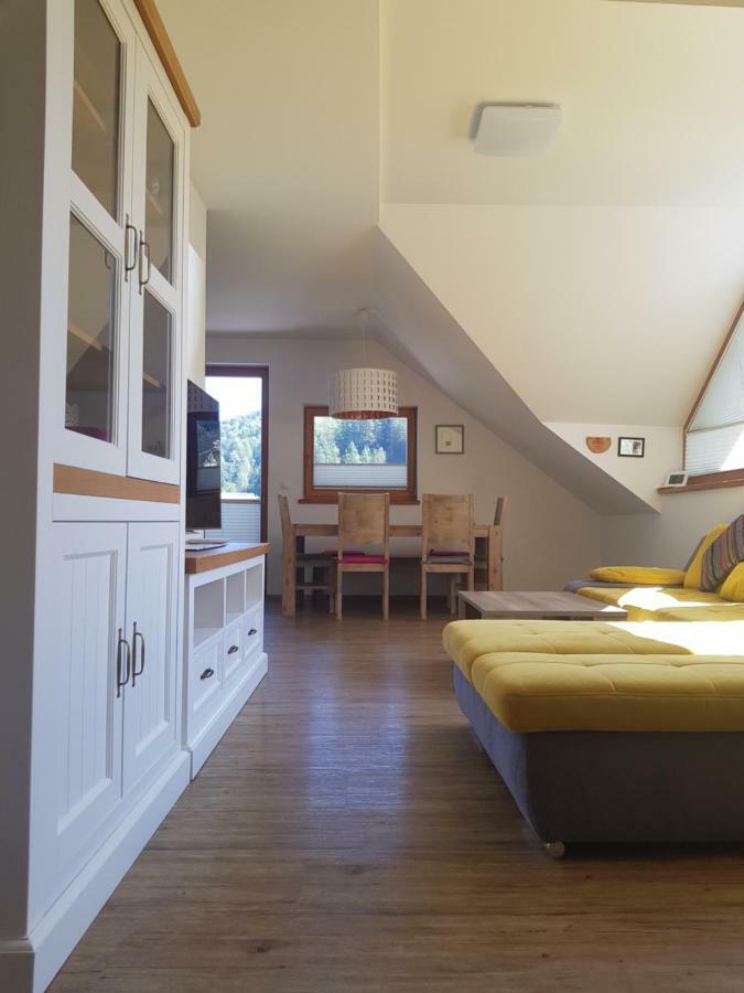 Apartments Katja 克拉尼斯卡戈拉 外观 照片